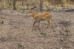 IMG_8113