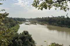 IMG_8156