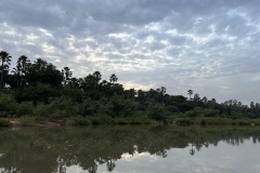 IMG_8205