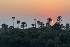 IMG_8423