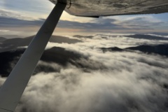 IMG_7915
