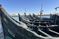 IMG_6950