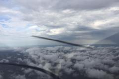 Lady Bush Pilot - African Tour - Flap 5
