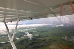 Lady Bush Pilot - African Tour - Flap 5