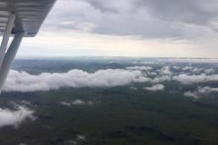 Lady Bush Pilot - African Tour - Flap 5