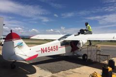 Lady Bush Pilot - African Tour - Flap 5