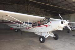 Lady Bush Pilot - African Tour - Flap 5
