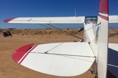 Lady Bush Pilot - African Tour - Flap 6