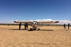 Lady Bush Pilot - African Tour - Flap 6