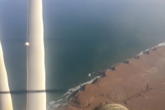 Lady Bush Pilot - African Tour - Flap 6