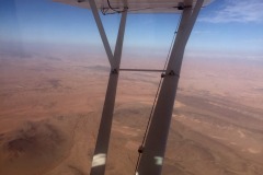Lady Bush Pilot - African Tour - Flap 6