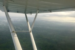 Lady Bush Pilot - African Tour - Flap 6