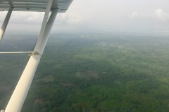 Lady Bush Pilot - African Tour - Flap 6