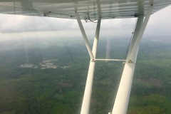 Lady Bush Pilot - African Tour - Flap 6