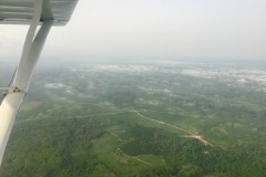 Lady Bush Pilot - African Tour - Flap 6