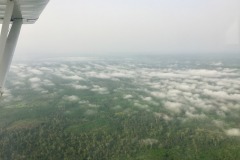 Lady Bush Pilot - African Tour - Flap 6