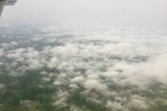 Lady Bush Pilot - African Tour - Flap 6