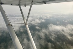 Lady Bush Pilot - African Tour - Flap 6
