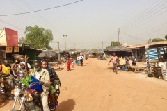 Lady Bush Pilot - African Tour - Flap 6