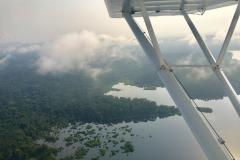 Lady Bush Pilot - African Tour - Flap 5