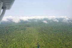 Lady Bush Pilot - African Tour - Flap 5