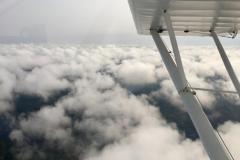 Lady Bush Pilot - African Tour - Flap 5