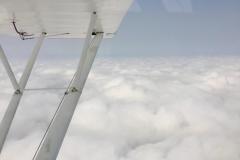 Lady Bush Pilot - African Tour - Flap 5