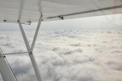 Lady Bush Pilot - African Tour - Flap 5