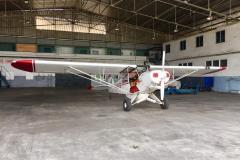 Lady Bush Pilot - African Tour - Flap 5
