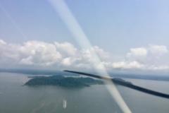 Lady Bush Pilot - African Tour - Flap 5