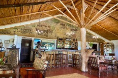 072_DeepAfrica_IMG_6385