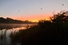 133_DeepAfrica_IMG_6846