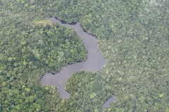 170_DeepAfrica_IMG_7333