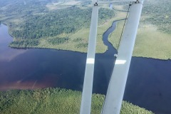 Lady Bush Pilot - African Tour - Flap 6