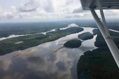 Lady Bush Pilot - African Tour - Flap 6