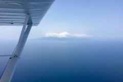 Lady Bush Pilot - African Tour - Flap 6