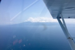 Lady Bush Pilot - African Tour - Flap 6