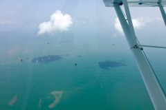 Lady Bush Pilot - African Tour - Flap 6