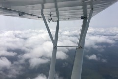 Lady Bush Pilot - African Tour - Flap 6