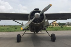 Lady Bush Pilot - African Tour - Flap 6