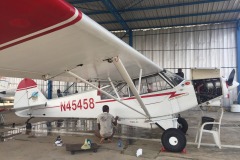 Lady Bush Pilot - African Tour - Flap 6