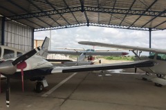 Lady Bush Pilot - African Tour - Flap 6