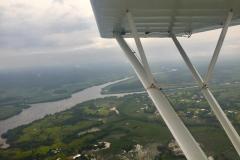 Lady Bush Pilot - African Tour - Flap 5