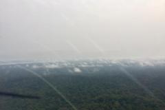 Lady Bush Pilot - African Tour - Flap 5
