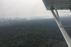 Lady Bush Pilot - African Tour - Flap 5