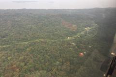 Lady Bush Pilot - African Tour - Flap 5
