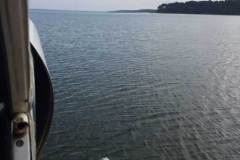 Lady Bush Pilot - African Tour - Flap 1