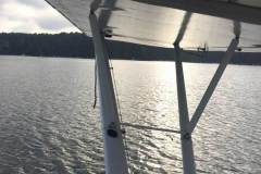 Lady Bush Pilot - African Tour - Flap 1