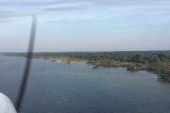 Lady Bush Pilot - African Tour - Flap 1