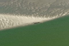 IMG_4153